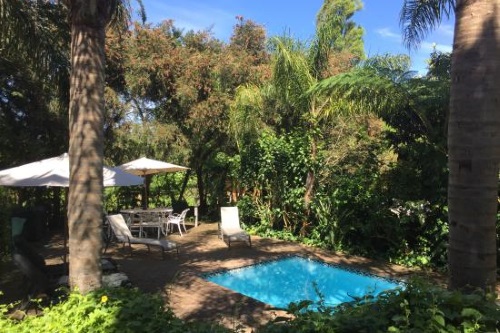 Knysna Herons Guest House tuin met zwembad